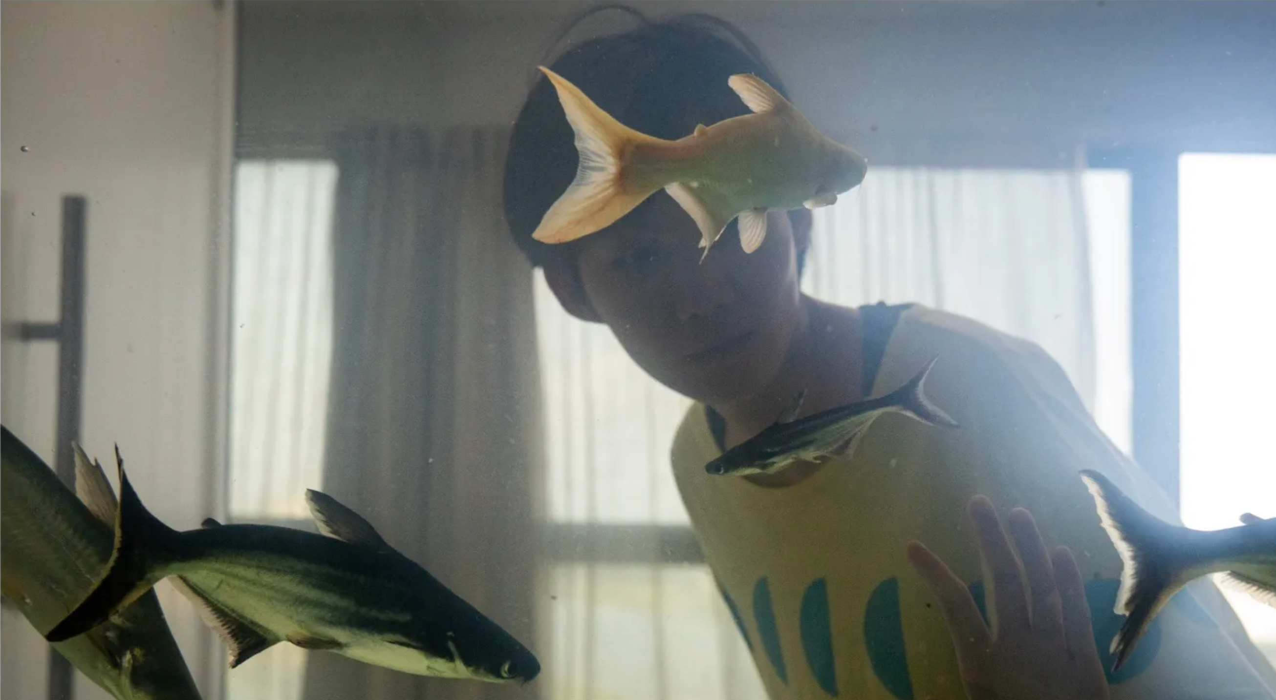 Still from Sleep With Your Eyes Open